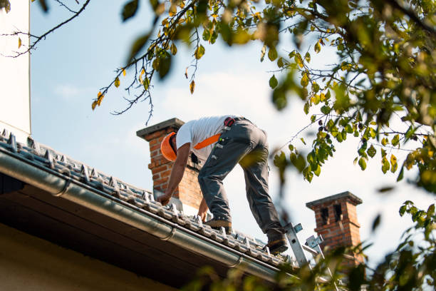 Quick and Trustworthy Emergency Roof Repair Services in Clanton, AL