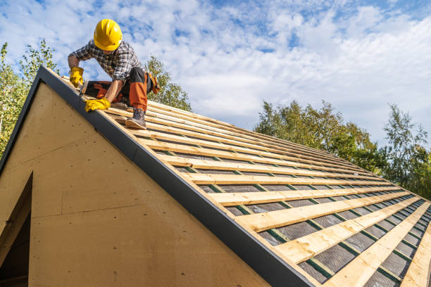 Best Roof Gutter Cleaning  in Clanton, AL